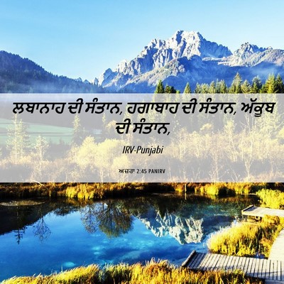 Picture 06 - ਅਜ਼ਰਾ 2:45 PANIRV - ਲਬਾਨਾਹ ਦੀ ਸੰਤਾਨ, - Bible Verse Picture