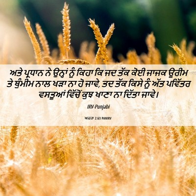 Picture 06 - ਅਜ਼ਰਾ 2:63 PANIRV - ਅਤੇ ਪ੍ਰਧਾਨ ਨੇ - Bible Verse Picture