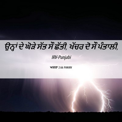 Picture 06 - ਅਜ਼ਰਾ 2:66 PANIRV - ਉਨ੍ਹਾਂ ਦੇ ਘੋੜੇ ਸੱਤ - Bible Verse Picture