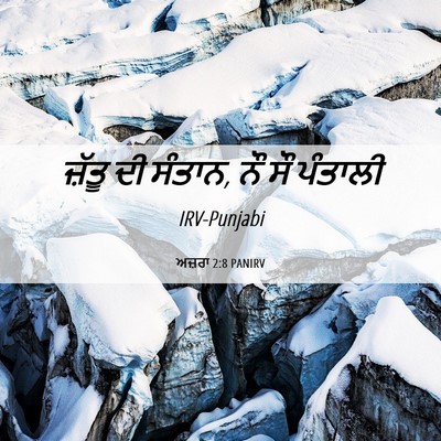 Picture 06 - ਅਜ਼ਰਾ 2:8 PANIRV - ਜ਼ੱਤੂ ਦੀ ਸੰਤਾਨ, ਨੌ - Bible Verse Picture