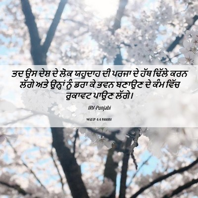 Picture 06 - ਅਜ਼ਰਾ 4:4 PANIRV - ਤਦ ਉਸ ਦੇਸ਼ ਦੇ ਲੋਕ - Bible Verse Picture