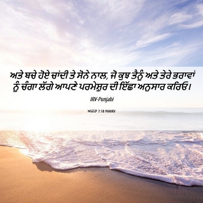 Picture 06 - ਅਜ਼ਰਾ 7:18 PANIRV - ਅਤੇ ਬਚੇ ਹੋਏ ਚਾਂਦੀ - Bible Verse Picture