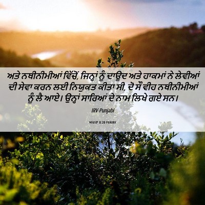 Picture 06 - ਅਜ਼ਰਾ 8:20 PANIRV - ਅਤੇ ਨਥੀਨੀਮੀਆਂ - Bible Verse Picture