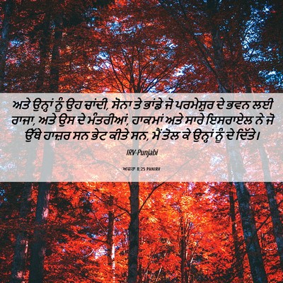 Picture 06 - ਅਜ਼ਰਾ 8:25 PANIRV - ਅਤੇ ਉਨ੍ਹਾਂ ਨੂੰ ਉਹ - Bible Verse Picture
