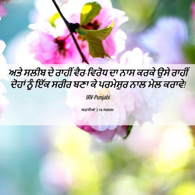 Picture 06 - ਅਫ਼ਸੀਆਂ 2:16 PANIRV - ਅਤੇ ਸਲੀਬ ਦੇ ਰਾਹੀਂ - Bible Verse Picture