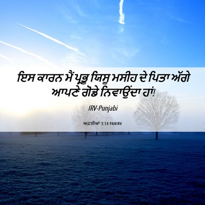 Picture 06 - ਅਫ਼ਸੀਆਂ 3:14 PANIRV - ਇਸ ਕਾਰਨ ਮੈਂ ਪ੍ਰਭੂ - Bible Verse Picture