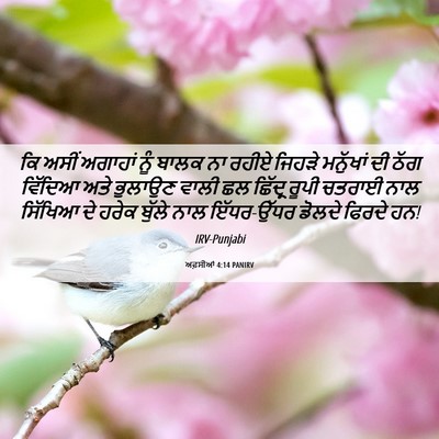 Picture 06 - ਅਫ਼ਸੀਆਂ 4:14 PANIRV - ਕਿ ਅਸੀਂ ਅਗਾਹਾਂ ਨੂੰ - Bible Verse Picture