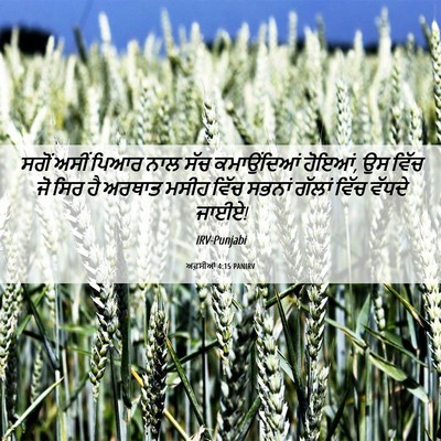 Picture 06 - ਅਫ਼ਸੀਆਂ 4:15 PANIRV - ਸਗੋਂ ਅਸੀਂ ਪਿਆਰ ਨਾਲ - Bible Verse Picture