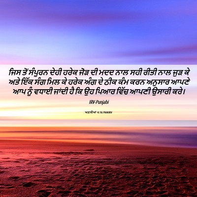 Picture 06 - ਅਫ਼ਸੀਆਂ 4:16 PANIRV - ਜਿਸ ਤੋਂ ਸੰਪੂਰਨ - Bible Verse Picture