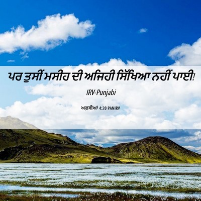 Picture 06 - ਅਫ਼ਸੀਆਂ 4:20 PANIRV - ਪਰ ਤੁਸੀਂ ਮਸੀਹ ਦੀ - Bible Verse Picture