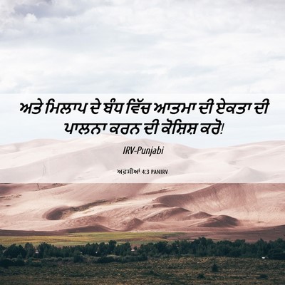 Picture 06 - ਅਫ਼ਸੀਆਂ 4:3 PANIRV - ਅਤੇ ਮਿਲਾਪ ਦੇ ਬੰਧ - Bible Verse Picture