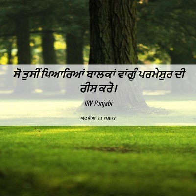 Picture 06 - ਅਫ਼ਸੀਆਂ 5:1 PANIRV - ਸੋ ਤੁਸੀਂ ਪਿਆਰਿਆਂ - Bible Verse Picture
