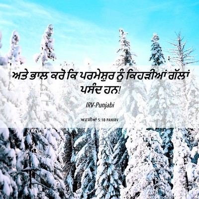 Picture 06 - ਅਫ਼ਸੀਆਂ 5:10 PANIRV - ਅਤੇ ਭਾਲ ਕਰੋ ਕਿ - Bible Verse Picture