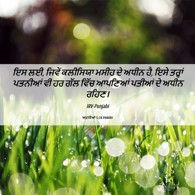 Picture 06 - ਅਫ਼ਸੀਆਂ 5:24 PANIRV - ਇਸ ਲਈ, ਜਿਵੇਂ - Bible Verse Picture