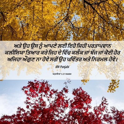 Picture 06 - ਅਫ਼ਸੀਆਂ 5:27 PANIRV - ਅਤੇ ਉਹ ਉਸ ਨੂੰ ਆਪਣੇ - Bible Verse Picture