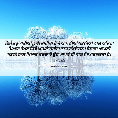 Picture 06 - ਅਫ਼ਸੀਆਂ 5:28 PANIRV - ਇਸੇ ਤਰ੍ਹਾਂ ਪਤੀਆਂ - Bible Verse Picture