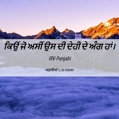 Picture 06 - ਅਫ਼ਸੀਆਂ 5:30 PANIRV - ਕਿਉਂ ਜੋ ਅਸੀਂ ਉਸ ਦੀ - Bible Verse Picture