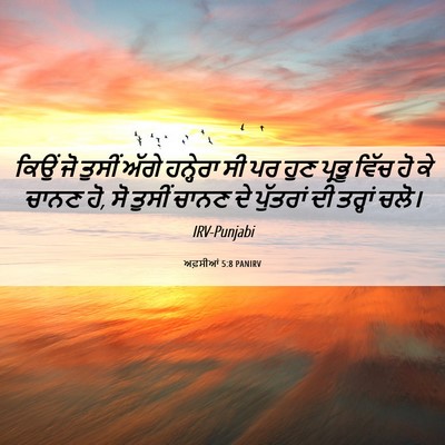 Picture 06 - ਅਫ਼ਸੀਆਂ 5:8 PANIRV - ਕਿਉਂ ਜੋ ਤੁਸੀਂ ਅੱਗੇ - Bible Verse Picture