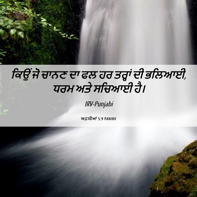 Picture 06 - ਅਫ਼ਸੀਆਂ 5:9 PANIRV - ਕਿਉਂ ਜੋ ਚਾਨਣ ਦਾ ਫਲ - Bible Verse Picture