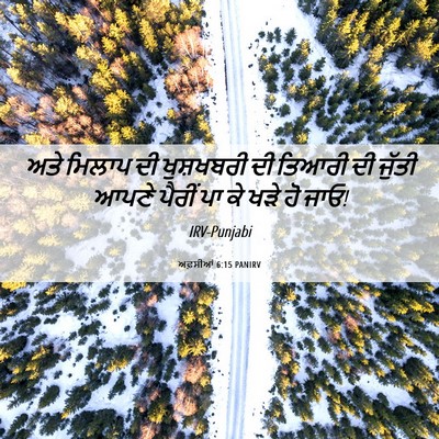 Picture 06 - ਅਫ਼ਸੀਆਂ 6:15 PANIRV - ਅਤੇ ਮਿਲਾਪ ਦੀ - Bible Verse Picture