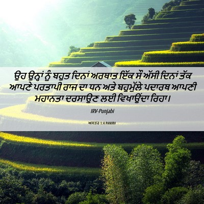 Picture 06 - ਅਸਤਰ 1:4 PANIRV - ਉਹ ਉਨ੍ਹਾਂ ਨੂੰ ਬਹੁਤ - Bible Verse Picture