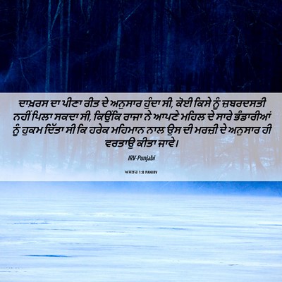 Picture 06 - ਅਸਤਰ 1:8 PANIRV - ਦਾਖ਼ਰਸ ਦਾ ਪੀਣਾ ਰੀਤ - Bible Verse Picture