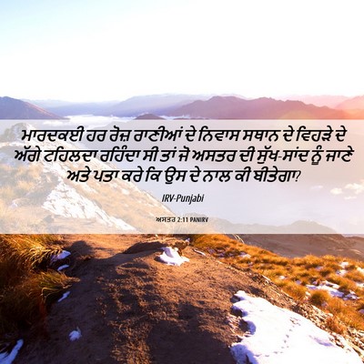 Picture 06 - ਅਸਤਰ 2:11 PANIRV - ਮਾਰਦਕਈ ਹਰ ਰੋਜ਼ - Bible Verse Picture
