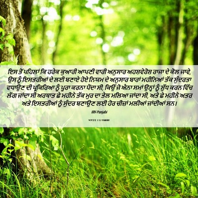 Picture 06 - ਅਸਤਰ 2:12 PANIRV - ਇਸ ਤੋਂ ਪਹਿਲਾਂ ਕਿ - Bible Verse Picture