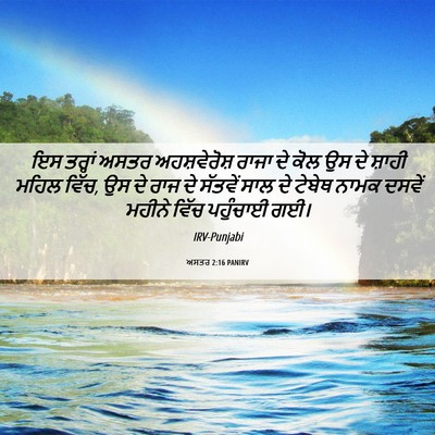 Picture 06 - ਅਸਤਰ 2:16 PANIRV - ਇਸ ਤਰ੍ਹਾਂ ਅਸਤਰ - Bible Verse Picture