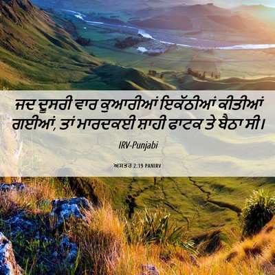 Picture 06 - ਅਸਤਰ 2:19 PANIRV - ਜਦ ਦੂਸਰੀ ਵਾਰ - Bible Verse Picture