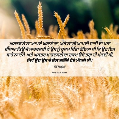 Picture 06 - ਅਸਤਰ 2:20 PANIRV - ਅਸਤਰ ਨੇ ਨਾ ਆਪਣੇ - Bible Verse Picture