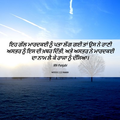Picture 06 - ਅਸਤਰ 2:22 PANIRV - ਇਹ ਗੱਲ ਮਾਰਦਕਈ ਨੂੰ - Bible Verse Picture