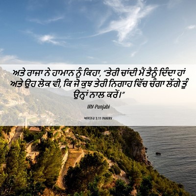 Picture 06 - ਅਸਤਰ 3:11 PANIRV - ਅਤੇ ਰਾਜਾ ਨੇ ਹਾਮਾਨ - Bible Verse Picture