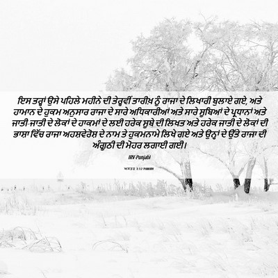 Picture 06 - ਅਸਤਰ 3:12 PANIRV - ਇਸ ਤਰ੍ਹਾਂ ਉਸੇ - Bible Verse Picture