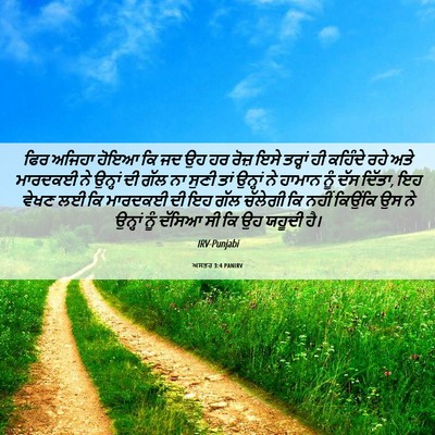 Picture 06 - ਅਸਤਰ 3:4 PANIRV - ਫਿਰ ਅਜਿਹਾ ਹੋਇਆ ਕਿ - Bible Verse Picture