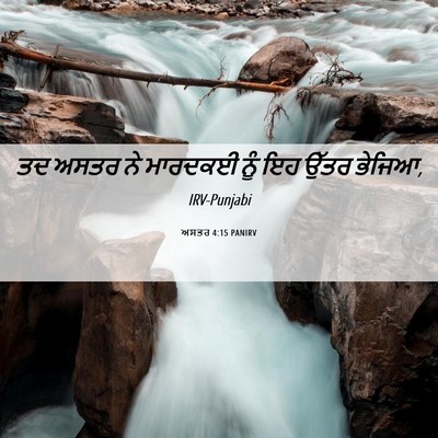 Picture 06 - ਅਸਤਰ 4:15 PANIRV - ਤਦ ਅਸਤਰ ਨੇ ਮਾਰਦਕਈ - Bible Verse Picture
