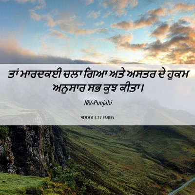 Picture 06 - ਅਸਤਰ 4:17 PANIRV - ਤਾਂ ਮਾਰਦਕਈ ਚਲਾ ਗਿਆ - Bible Verse Picture