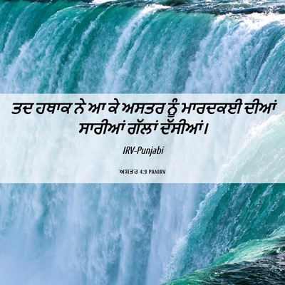 Picture 06 - ਅਸਤਰ 4:9 PANIRV - ਤਦ ਹਥਾਕ ਨੇ ਆ ਕੇ - Bible Verse Picture