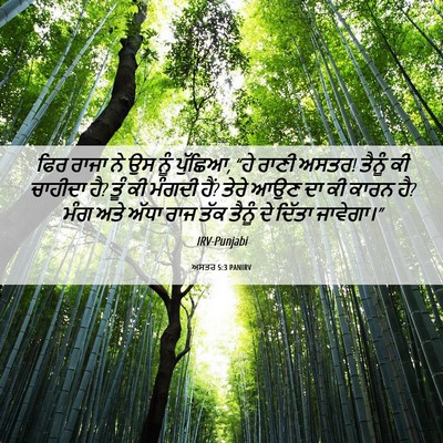 Picture 06 - ਅਸਤਰ 5:3 PANIRV - ਫਿਰ ਰਾਜਾ ਨੇ ਉਸ ਨੂੰ - Bible Verse Picture