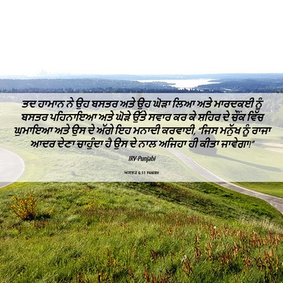 Picture 06 - ਅਸਤਰ 6:11 PANIRV - ਤਦ ਹਾਮਾਨ ਨੇ ਉਹ ਬਸਤਰ - Bible Verse Picture