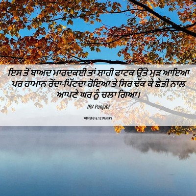 Picture 06 - ਅਸਤਰ 6:12 PANIRV - ਇਸ ਤੋਂ ਬਾਅਦ ਮਾਰਦਕਈ - Bible Verse Picture