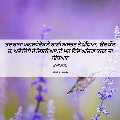 Picture 06 - ਅਸਤਰ 7:5 PANIRV - ਤਦ ਰਾਜਾ - Bible Verse Picture