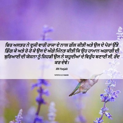 Picture 06 - ਅਸਤਰ 8:3 PANIRV - ਫਿਰ ਅਸਤਰ ਨੇ ਦੂਜੀ - Bible Verse Picture