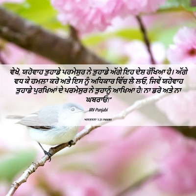 Picture 06 - ਅਸਤਸਨਾ 1:21 PANIRV - ਵੇਖੋ, ਯਹੋਵਾਹ - Bible Verse Picture