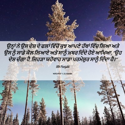 Picture 06 - ਅਸਤਸਨਾ 1:25 PANIRV - ਉਨ੍ਹਾਂ ਨੇ ਉਸ ਦੇਸ਼ - Bible Verse Picture