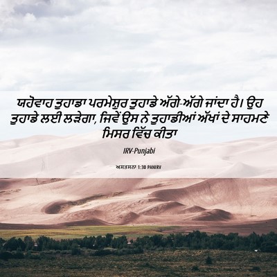 Picture 06 - ਅਸਤਸਨਾ 1:30 PANIRV - ਯਹੋਵਾਹ ਤੁਹਾਡਾ - Bible Verse Picture