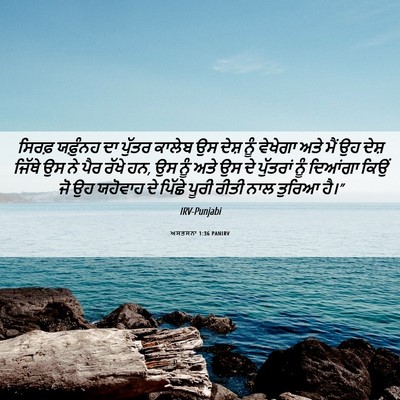 Picture 06 - ਅਸਤਸਨਾ 1:36 PANIRV - ਸਿਰਫ਼ ਯਫ਼ੁੰਨਹ ਦਾ - Bible Verse Picture