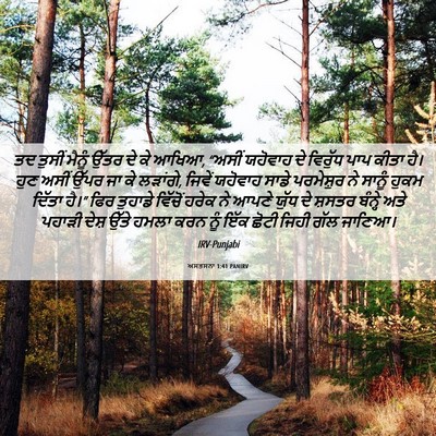 Picture 06 - ਅਸਤਸਨਾ 1:41 PANIRV - ਤਦ ਤੁਸੀਂ ਮੈਨੂੰ - Bible Verse Picture