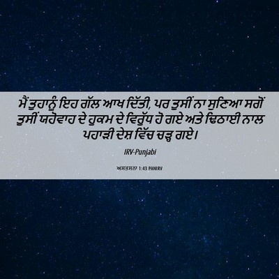 Picture 06 - ਅਸਤਸਨਾ 1:43 PANIRV - ਮੈਂ ਤੁਹਾਨੂੰ ਇਹ ਗੱਲ - Bible Verse Picture