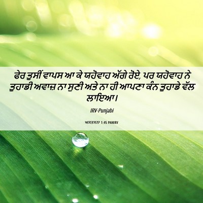 Picture 06 - ਅਸਤਸਨਾ 1:45 PANIRV - ਫੇਰ ਤੁਸੀਂ ਵਾਪਸ ਆ ਕੇ - Bible Verse Picture